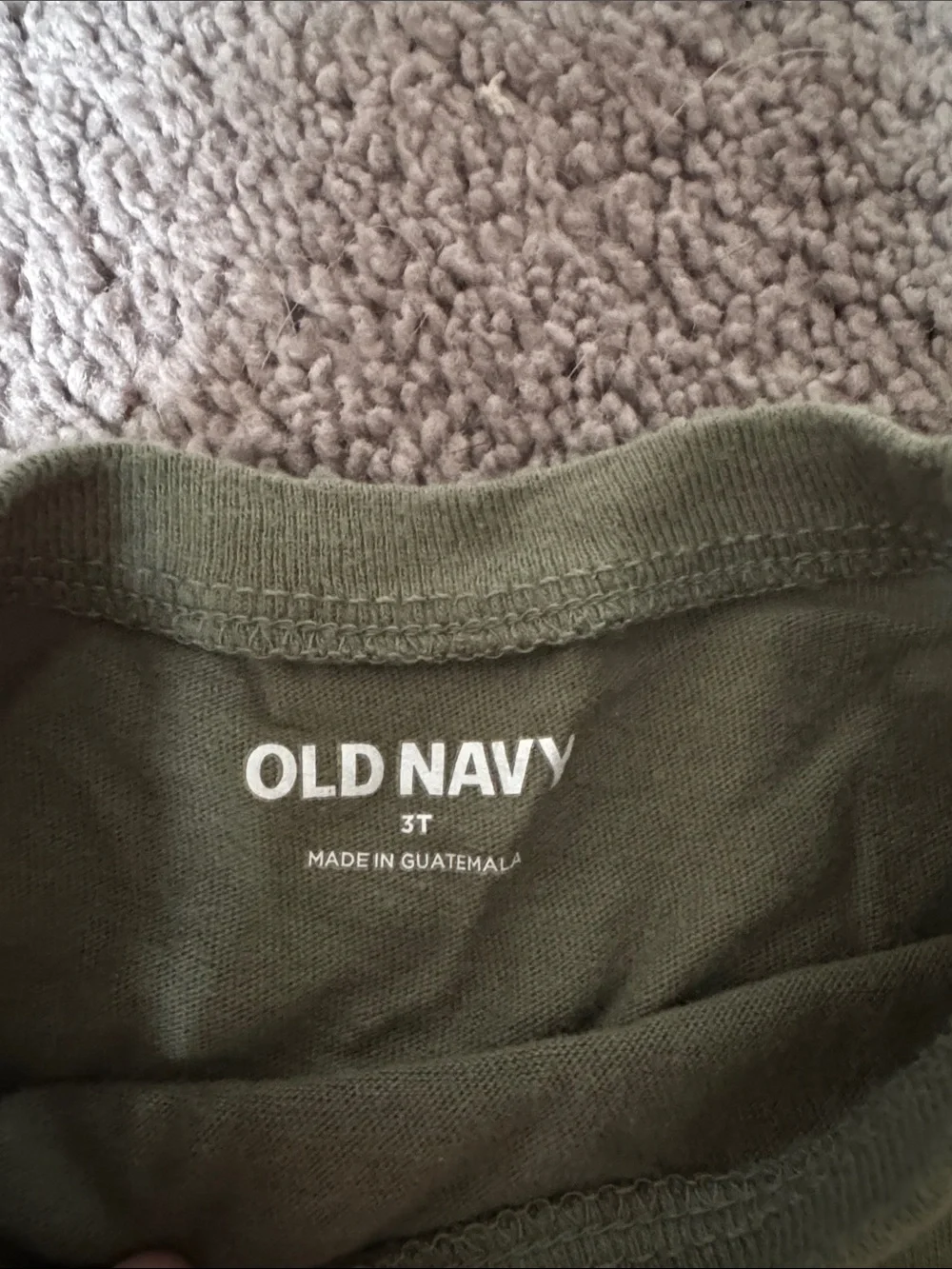 Old Navy Olive Green 'WILD' Mountain Graphic Long-Sleeve Tee